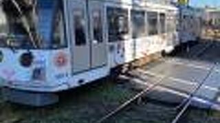 白い招き猫ラッピング