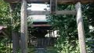 隅田川沿いに鎮座している小さな神社