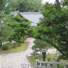 境内の松が奇麗です