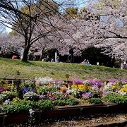 芝生でピクニックができる公園