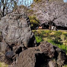 桜島の溶岩