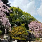 桜の季節に訪れました