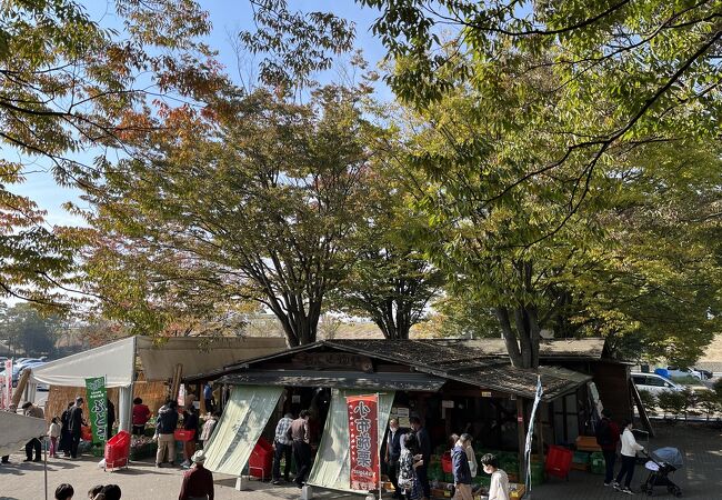 ハイウェイオアシスと道の駅小布施が側です。