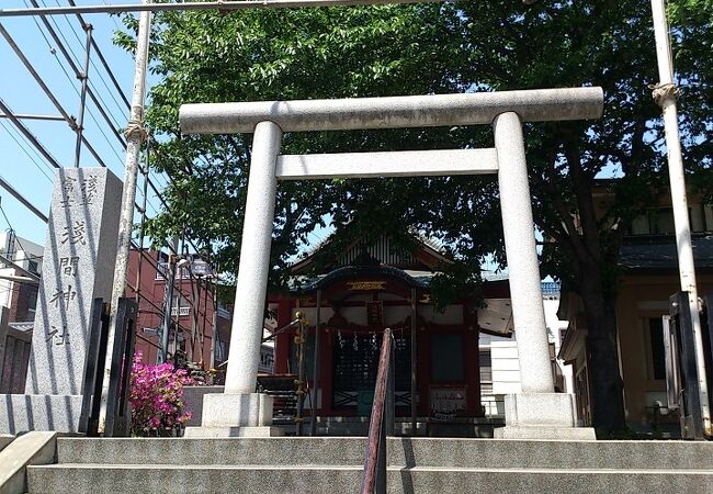 浅草観光の際には立ち寄っておきたい神社の一つ