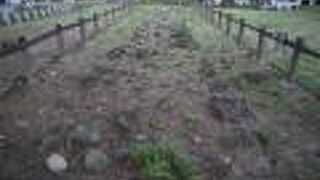 元寇防塁 (百道)