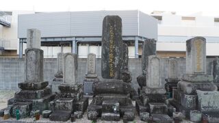 亀井(南冥 昭陽)家の墓