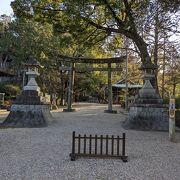 家康ゆかりの神社