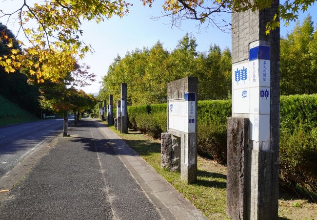 歴史の散歩道