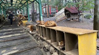 雨でも見学できる