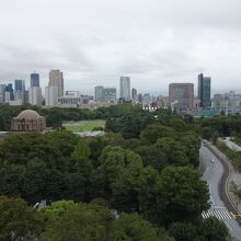 神宮の杜