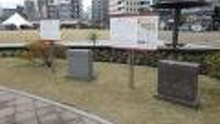 ハチ公、せごどん