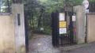 回遊式の大名庭園が保存されています