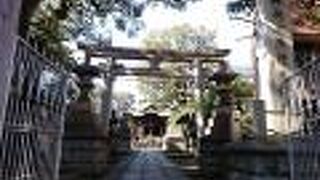 大田区山王１丁目に鎮座している神社