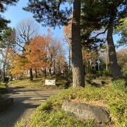 土塁が昔の地形を残している