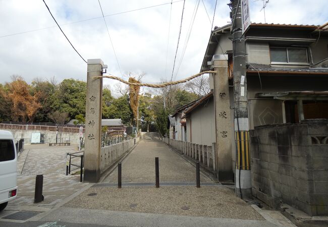 白鳥神社 (羽曳野市)