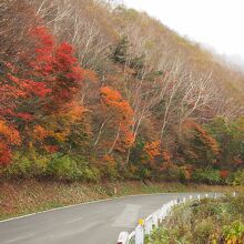 磐梯吾妻スカイラインの紅葉