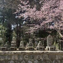 最明寺史跡公園