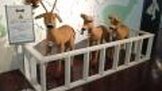 （再訪）動物園みたいで楽しい