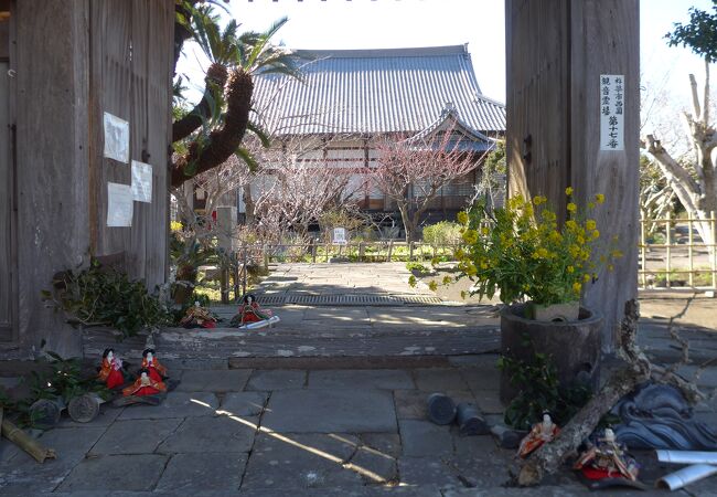 ひいなめぐりの時期には寺院内に沢山の手作り雛が展示されています!!