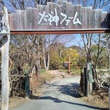 入り口ゲート付近