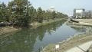 川と松並木の風景は、とても浮世絵的