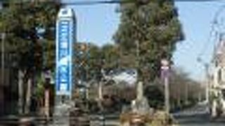 場所によって違う楽しみ方ができる公園　