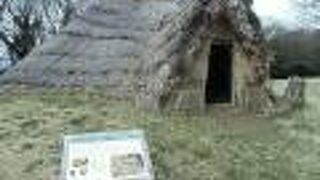 復元された竪穴式住居ほか、いくつかの遺跡が残っています