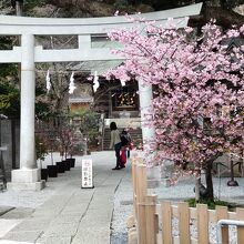 江ノ電の踏切前から見た御霊神社。