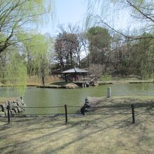 古河総合公園の御所沼