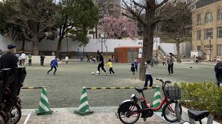 遊具はあまりない