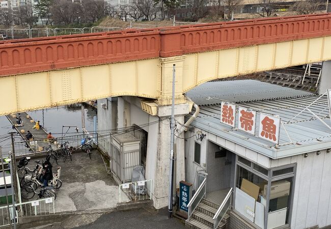 都会のオアシス