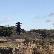 のどかな田園風景の中にスッとそびえ立つ五重塔