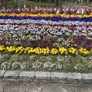 四季折々の花が楽しめる公園