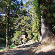 納池公園