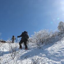 雪山なので、基本は直登！