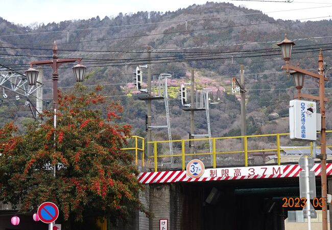 小田急線松田駅、JR松田駅近辺からも「まつだ桜まつり」会場から、かなり離れたところに大きなピンクの桜の固まりが見えます。