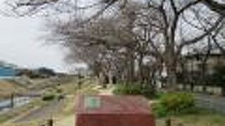 利根運河を設計した土木技師です