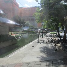 ベンチャシリ公園