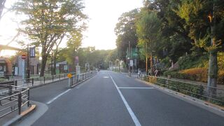 不忍池があります