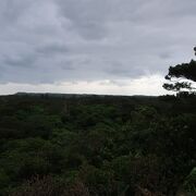 宮古島市熱帯植物園の丘の上から一望できました。