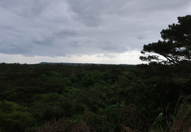 宮古島市熱帯植物園の丘の上から一望できました。