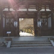 盆梅があるお寺