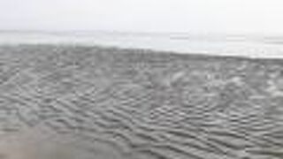 展望台に行きたかったが