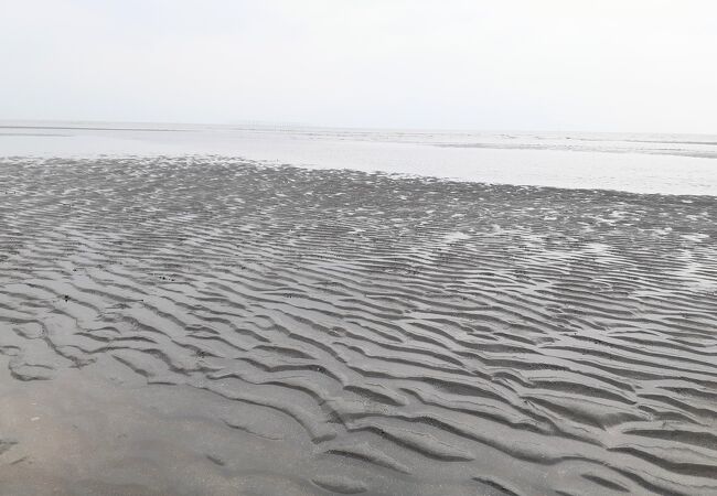 展望台に行きたかったが