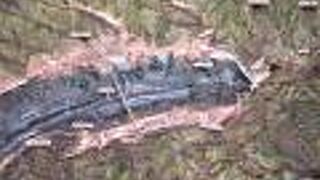 「八ッ場ダム Twitter」カードや「利根川上流４ダム スマホアプリ」カードも出来ました!