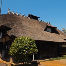 横に周ってみると非常に大きな建物なのが分かる