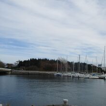 新島襄の碑の辺りからヨットハーバーをのぞむ