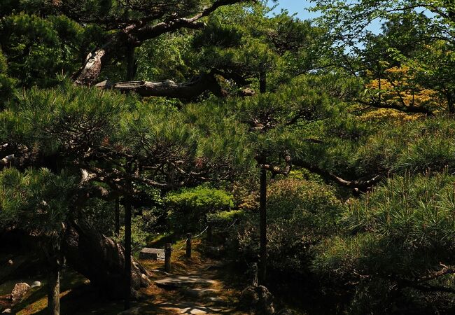 東北地方では稀にみる典型的な書院庭園：酒井氏庭園 