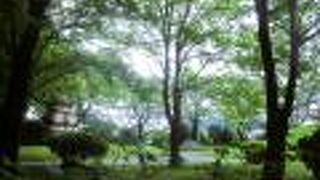 自然豊かな公園