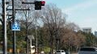 坂の上からお濠沿い